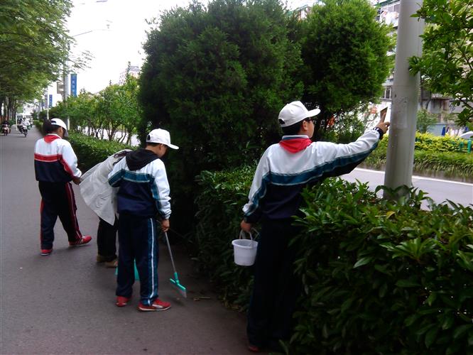 WDCM上传图片 WDCM上传图片