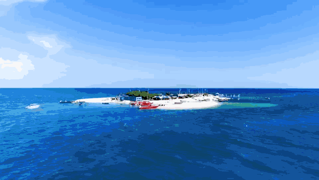 WDCM上传图片 WDCM上传图片