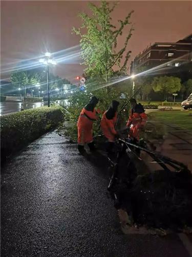 WDCM上传图片