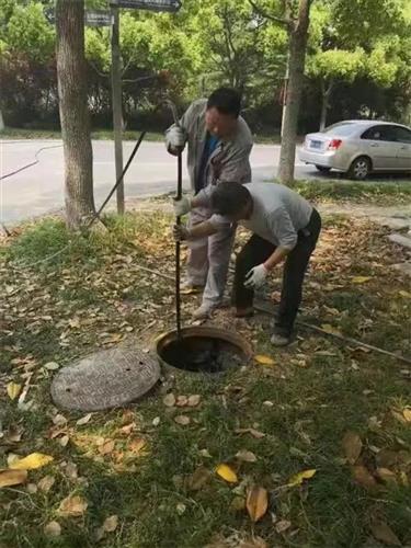 WDCM上传图片