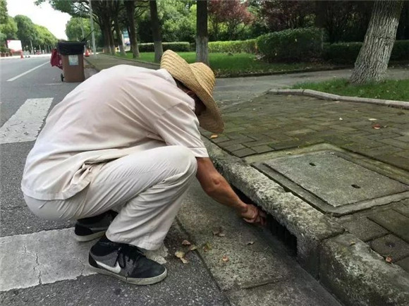 WDCM上传图片