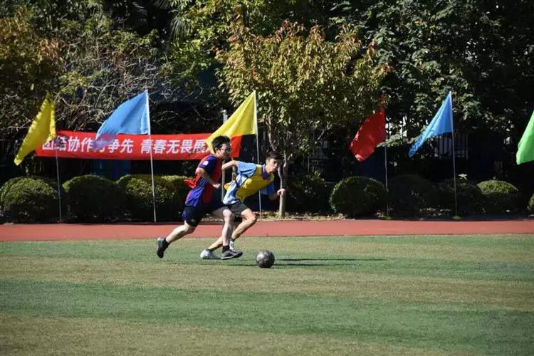WDCM上传图片