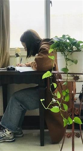 WDCM上传图片