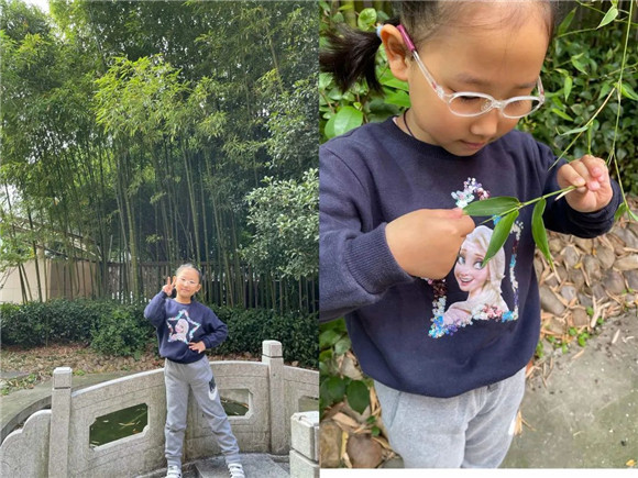 WDCM上传图片 WDCM上传图片