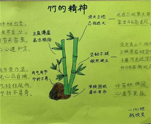 WDCM上传图片 WDCM上传图片