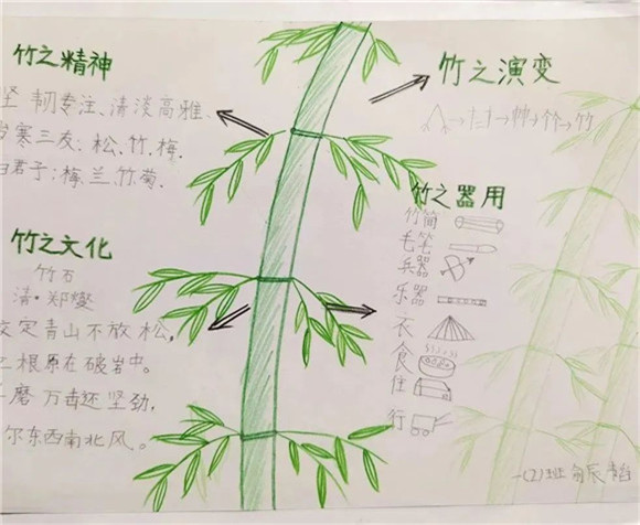 WDCM上传图片 WDCM上传图片