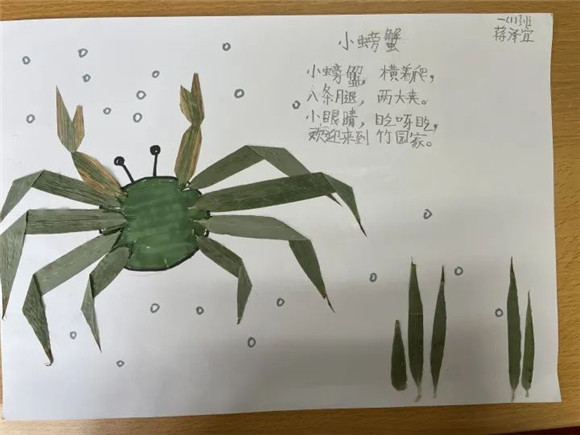 WDCM上传图片 WDCM上传图片