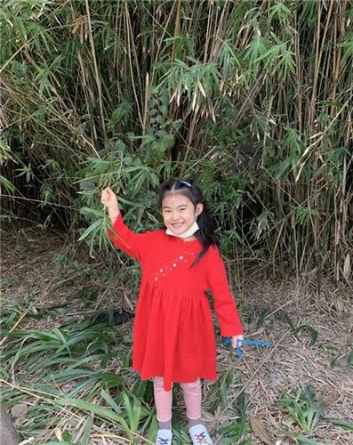 WDCM上传图片 WDCM上传图片