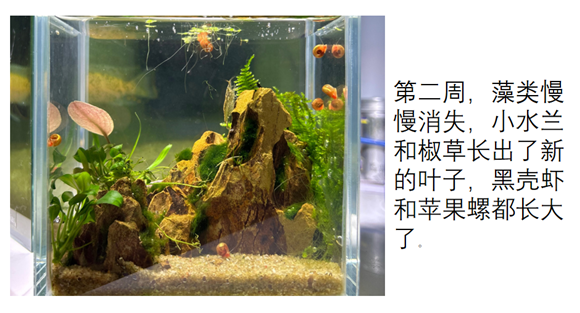 WDCM上传图片