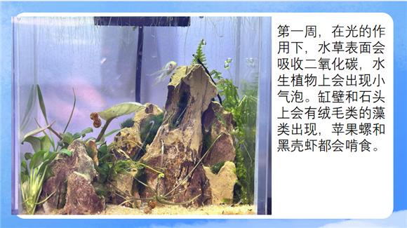 WDCM上传图片