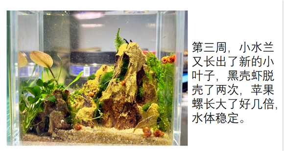 WDCM上传图片