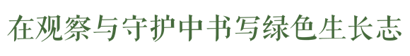 WDCMϴͼƬ