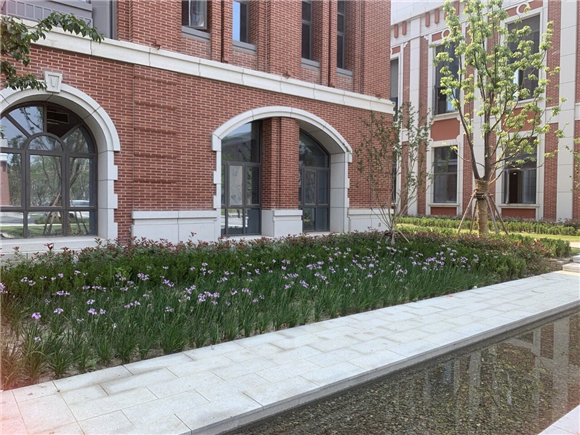 WDCM上传图片 WDCM上传图片